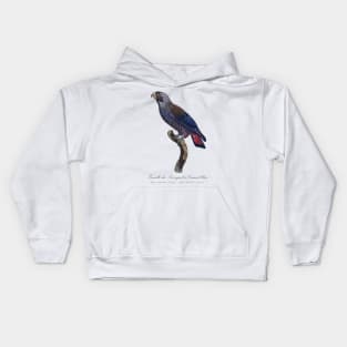 Dusky Parrot / Femelle du Perroquet a Camail Bleu - 19th century Jacques Barraband Illustration Kids Hoodie